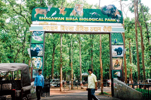 Medical students at Zoological Park, Ranchi Medical students at Zoological Park, Ranchi
